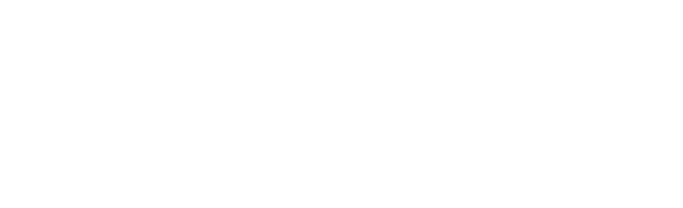 De Raíz